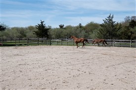 LR-WRF 04282026 Retreat-3844